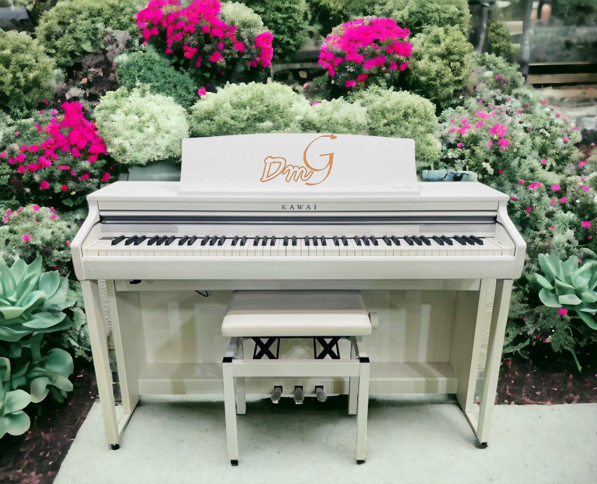 kawaica48 trungtamdomingocom