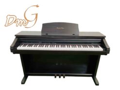 KAWAI PW-700